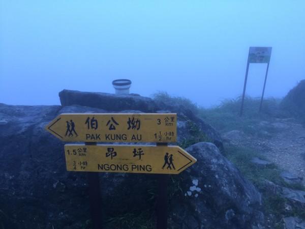 保肝护肝的食品中哪些效果比较明显?平台-覆盖广泛的知识讨论社区【快递100】